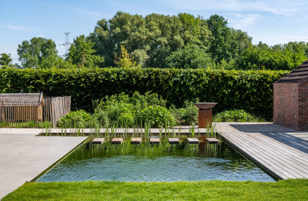 Renovatie villatuin met zwemvijver van Concept Gardens