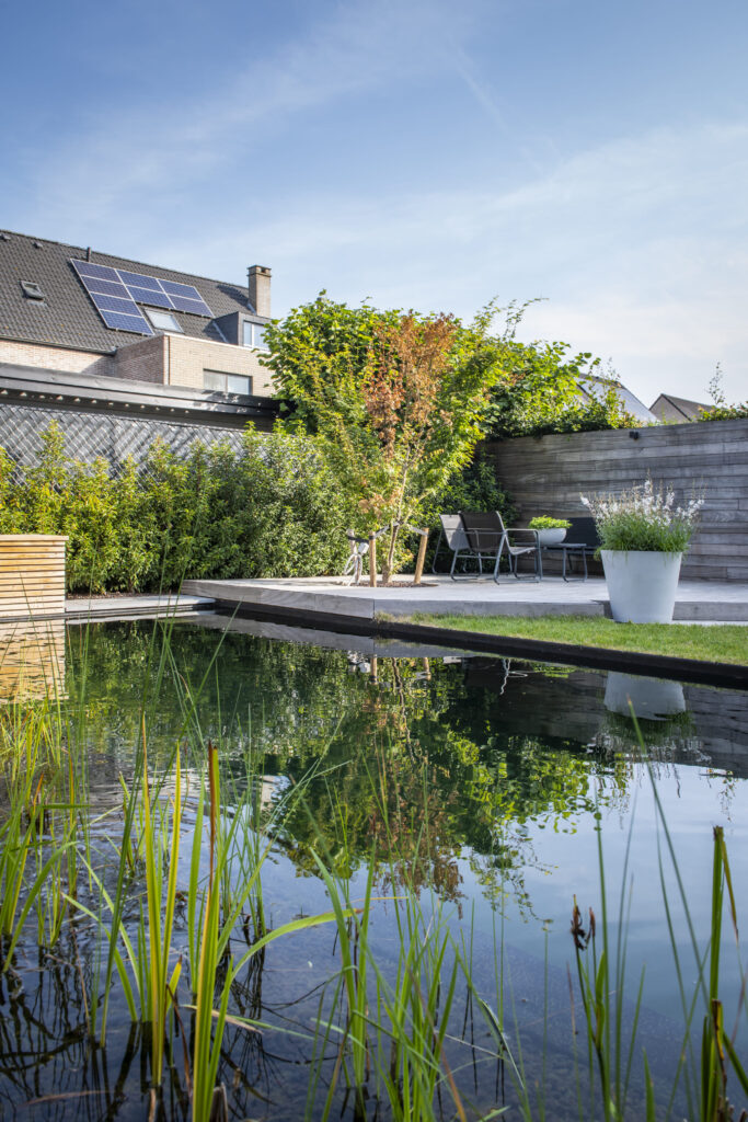 Renovatie met zwemvijver door Concept Gardens
