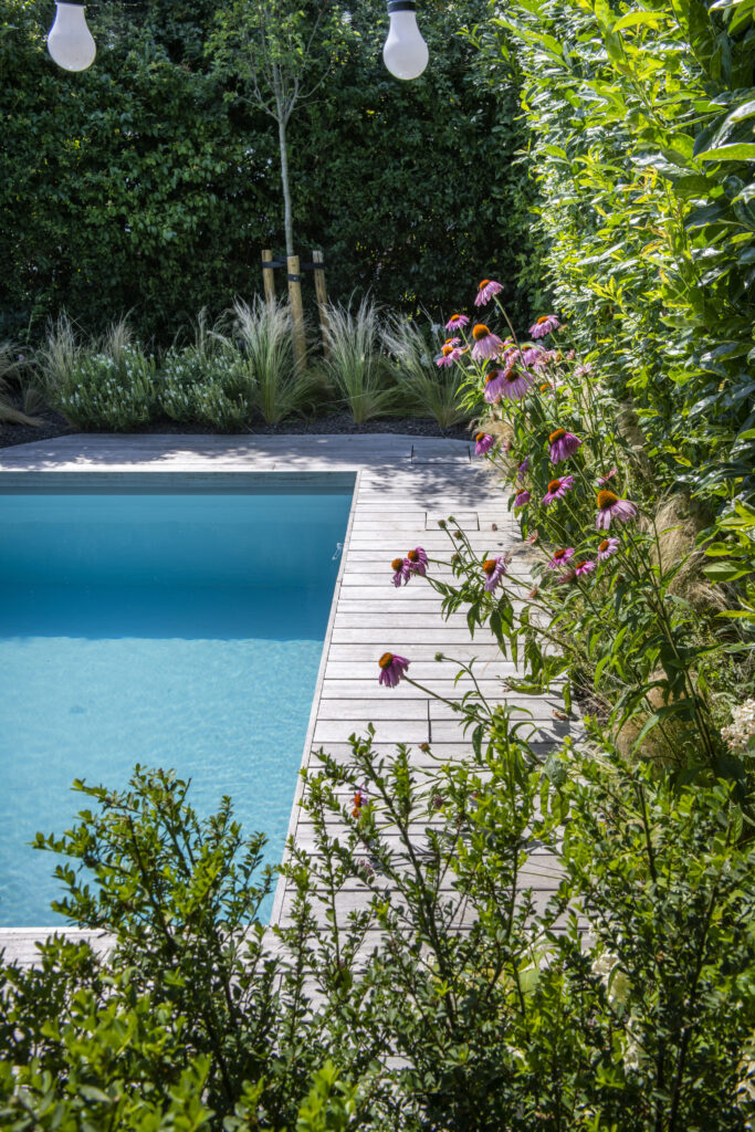 Tijdloze renovatie met zwembad door Concept Gardens