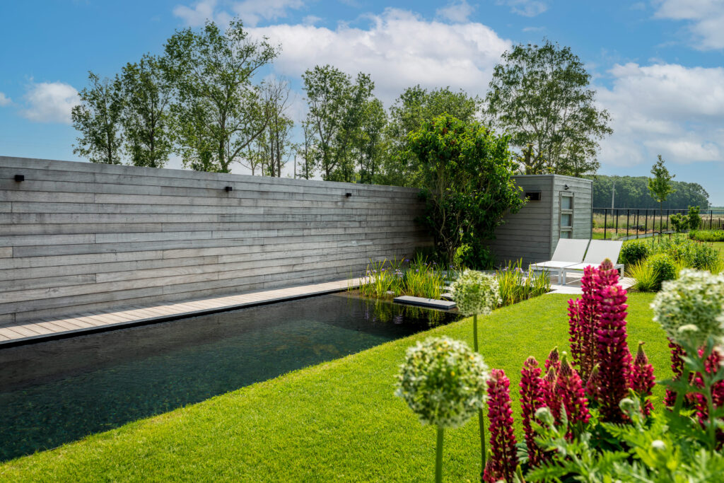 Warm moderne renovatie met zwemvijver door Concept Gardens